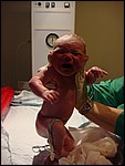 DSC02068.JPG